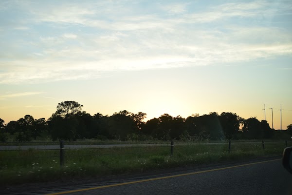 Representative image for Madisonville, Texas