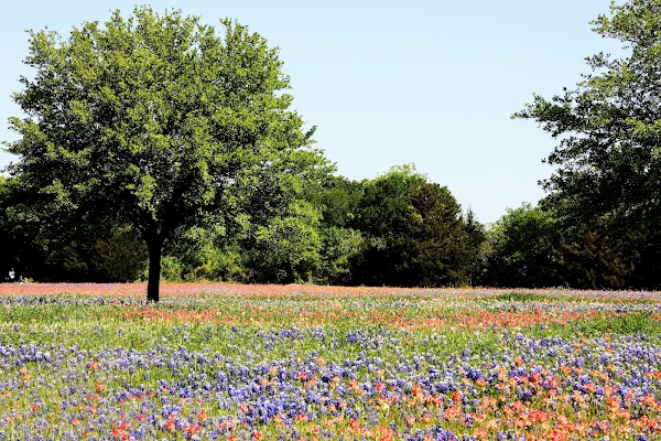 Representative image for Midlothian, Texas