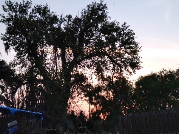 Representative image for San Benito, Texas