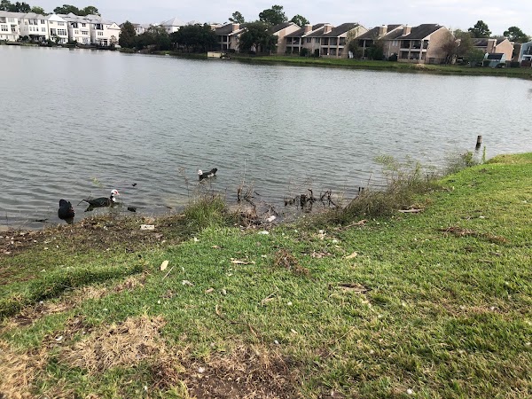 Representative image for Spring Branch, Texas