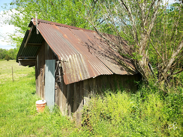 Representative image for Trinity, Texas
