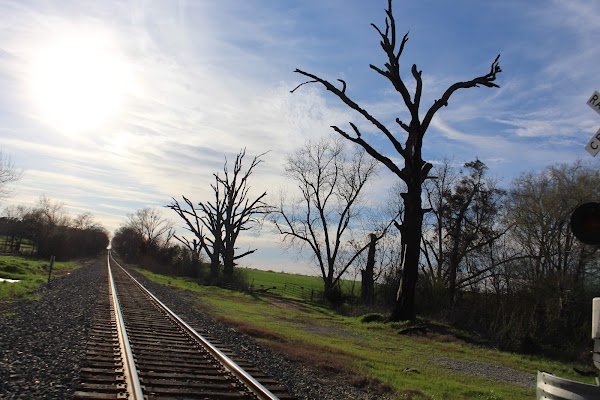 Representative image for Winnsboro, Texas