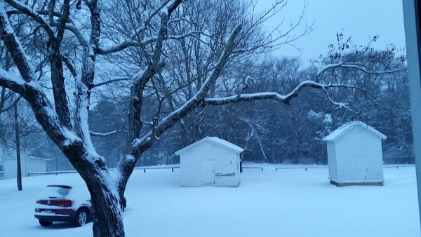 Representative image for Farmville, Virginia