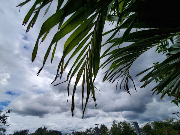 Representative image for Gainesville, Virginia