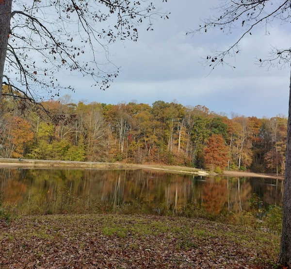 Representative image for King George, Virginia