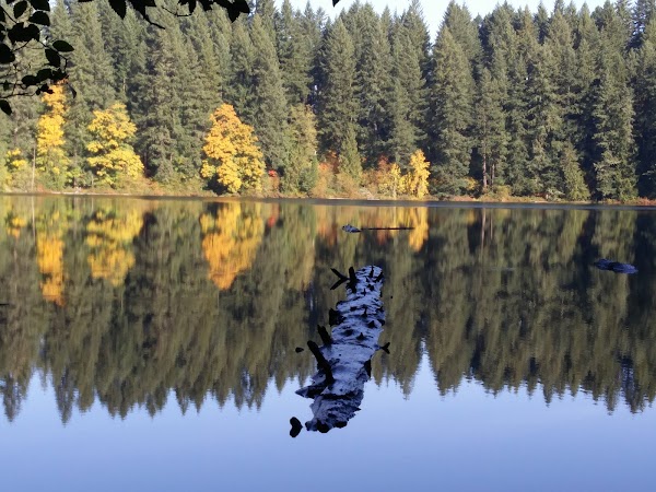 Representative image for Battle Ground, Washington