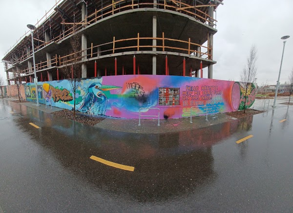 Representative image for Bellingham, Washington