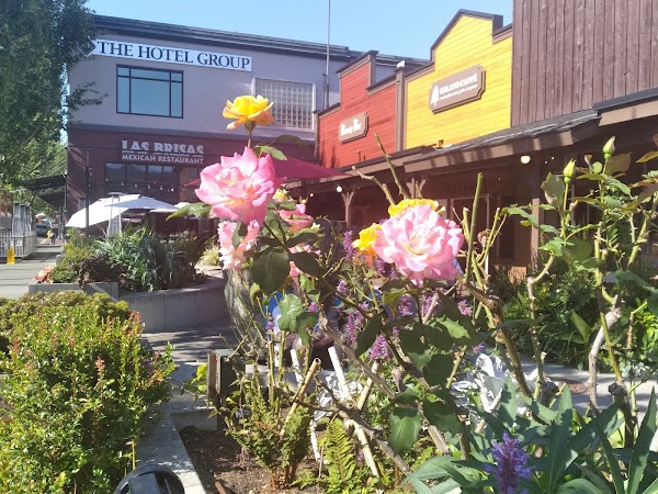 Representative image for Edmonds, Washington