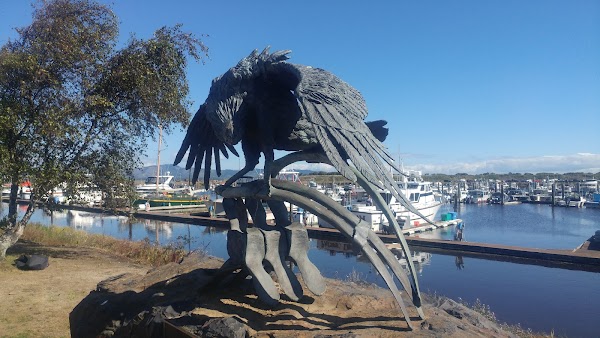 Representative image for Ilwaco, Washington