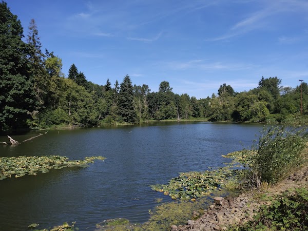 Representative image for Kelso, Washington