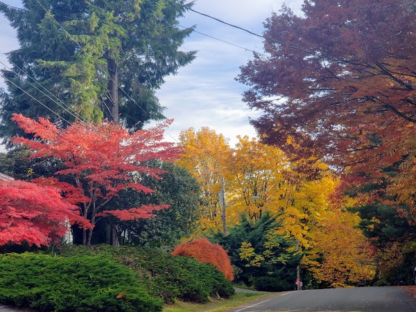 Representative image for Kenmore, Washington