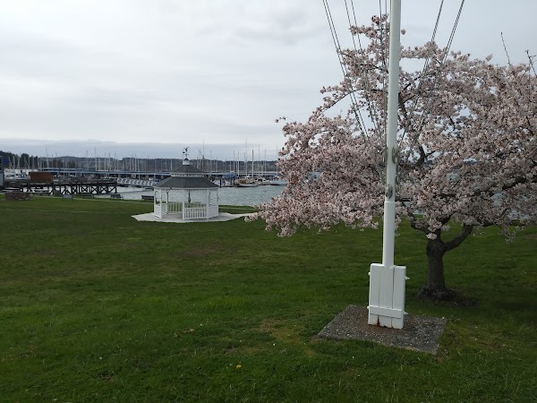 Representative image for Oak Harbor, Washington