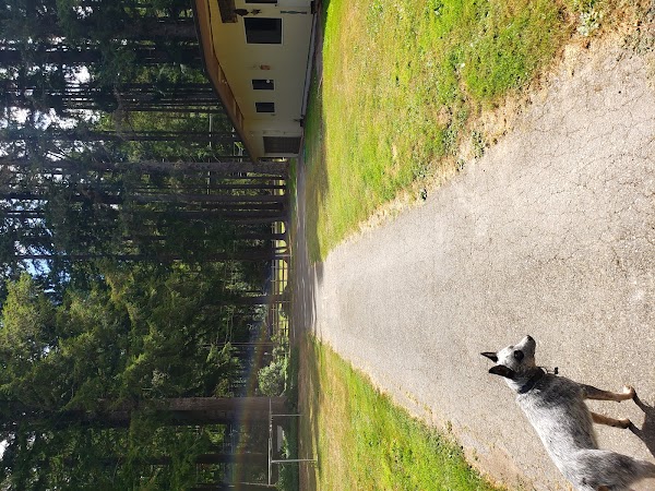 Representative image for Silverdale, Washington