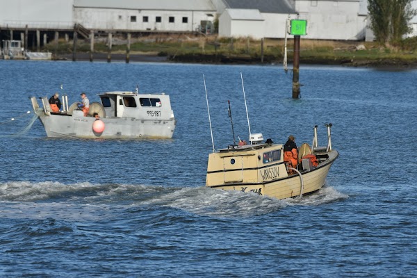 Representative image for South Bend, Washington