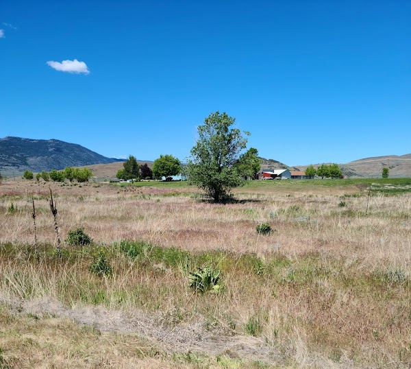 Representative image for Tonasket, Washington