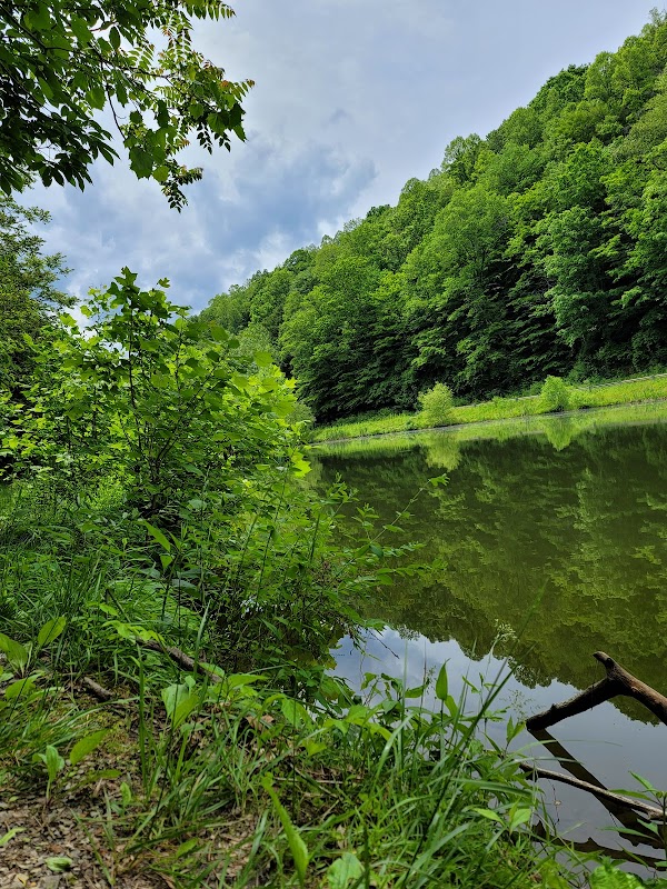 Representative image for Madison, West Virginia