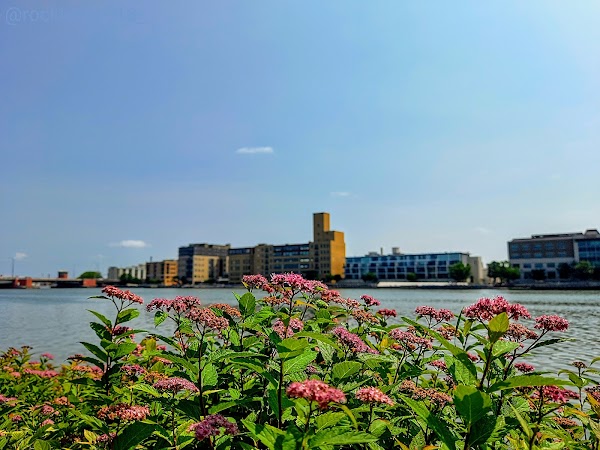 Representative image for Green Bay, Wisconsin