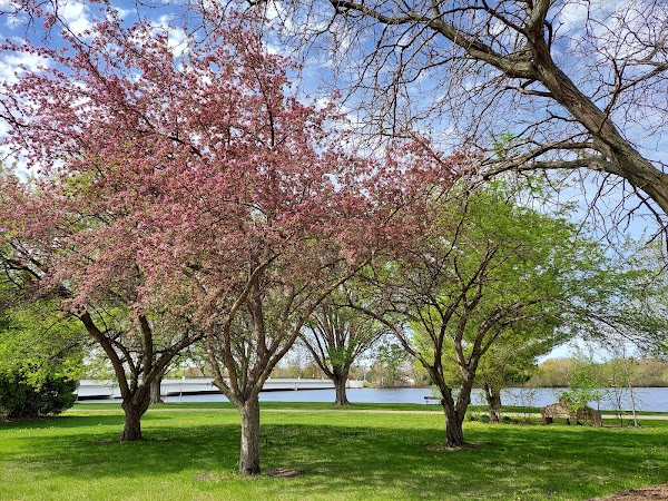 Representative image for Stevens Point, Wisconsin
