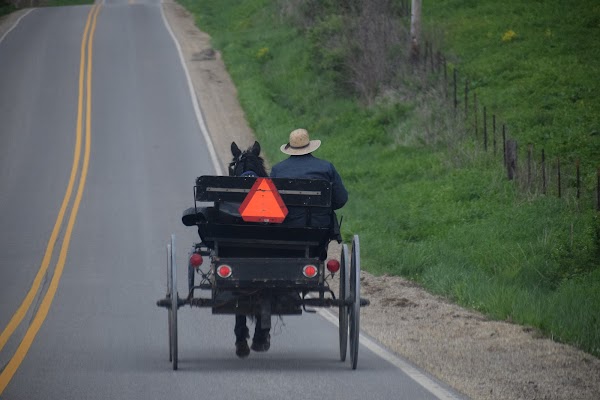 Representative image for Viroqua, Wisconsin