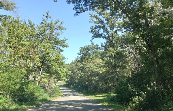 Representative image for Wild Rose, Wisconsin