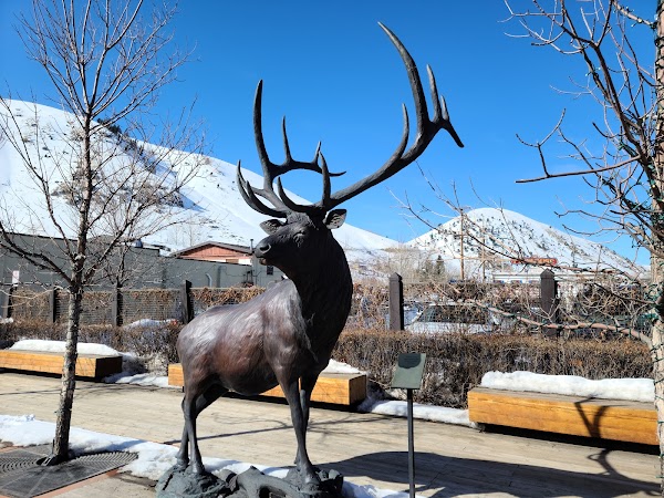 Representative image for Jackson, Wyoming