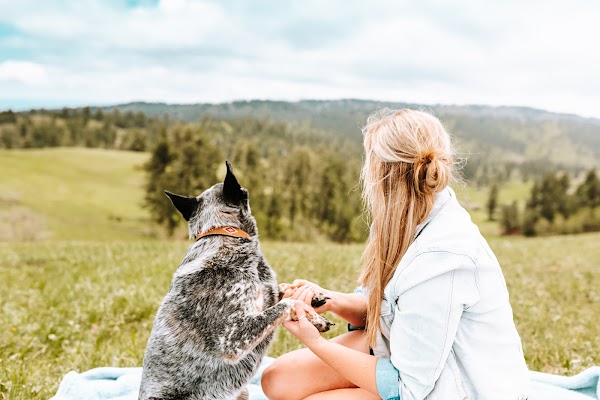 Representative image for Sundance, Wyoming